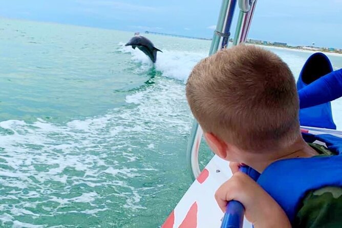 Dolphin-Watching Speedboat Cruise in Destin Harbor - Key points to know before booking