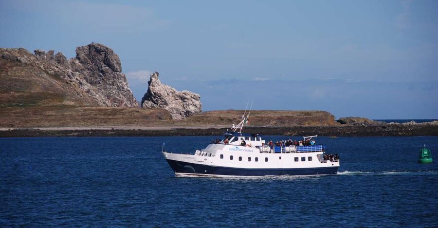 Dublin: Dublin Bay Cruise from Howth to Dun Laoghaire - Ireland’s Eye and Lambay Island to the north