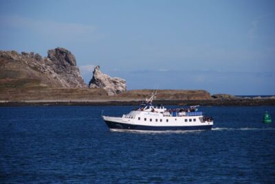Dublin Bay Cruise from Howth to Dun Laoghaire