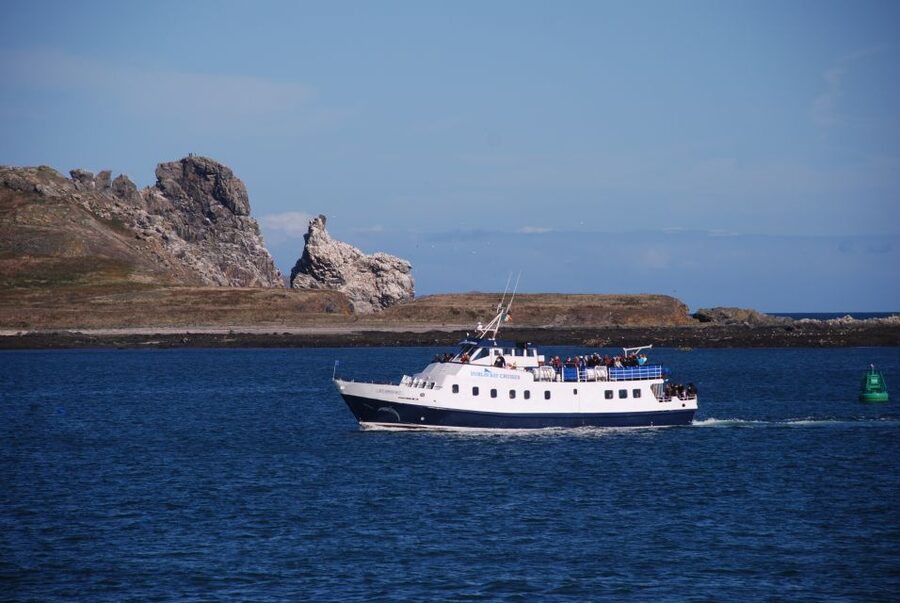 Dublin: Dublin Bay Cruise from Howth to Dun Laoghaire - Starting at West Pier in Howth