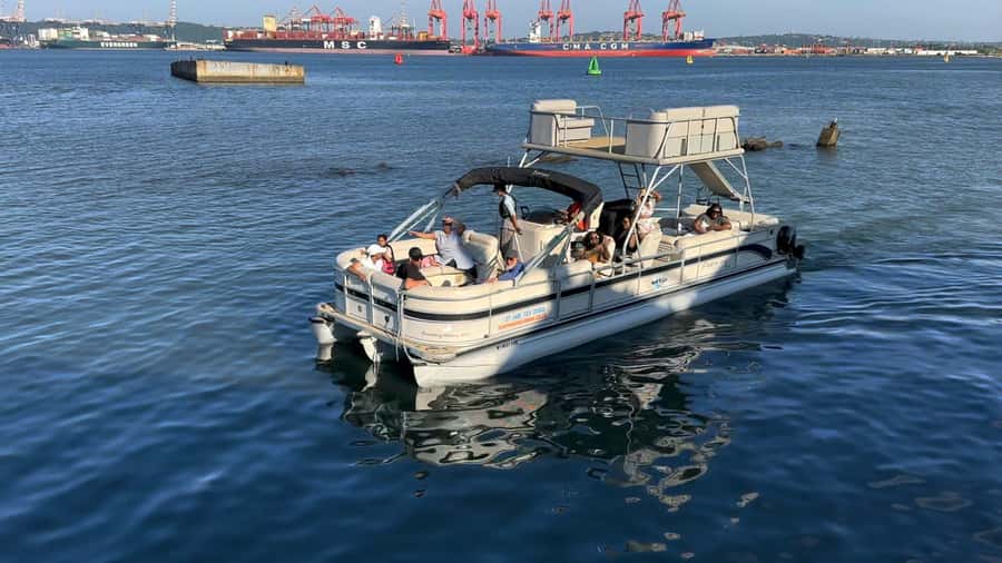 Durban: Pontoon Boat Harbor Cruise - Giant container ships and cruise liners