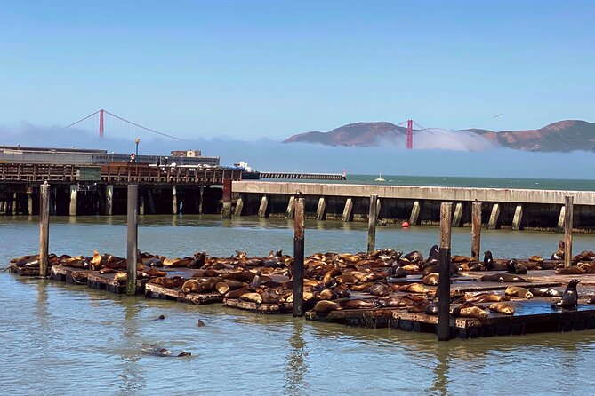 Fisherman’s Wharf Highlights Tour + Golden Gate Bay Voyage - Key points to know before booking
