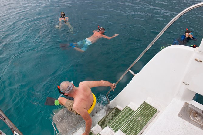 Four Winds Molokini Snorkeling Tour from Maalaea Harbor - Glass-bottom viewing for non-snorkelers
