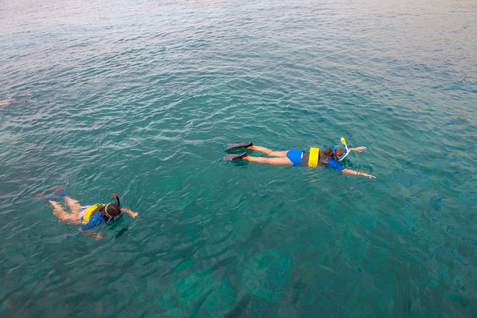 Four Winds Molokini Snorkeling Tour from Maalaea Harbor - Who will get the most from this tour