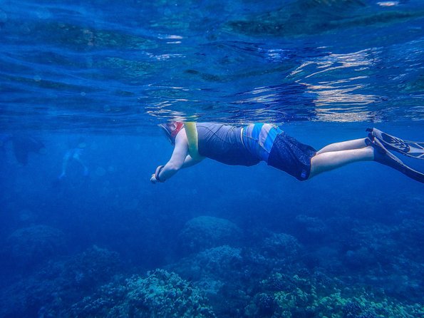 Four Winds Molokini Snorkeling Tour from Maalaea Harbor - Practical tips for a smoother morning