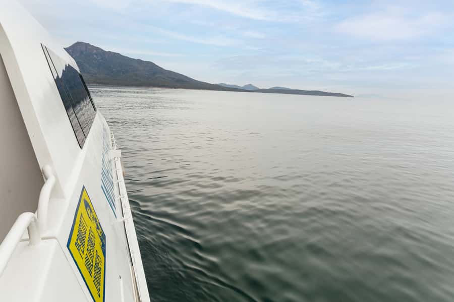 From Coles Bay: Wineglass Bay Cruise with Lunch - Wildlife watching without a promise