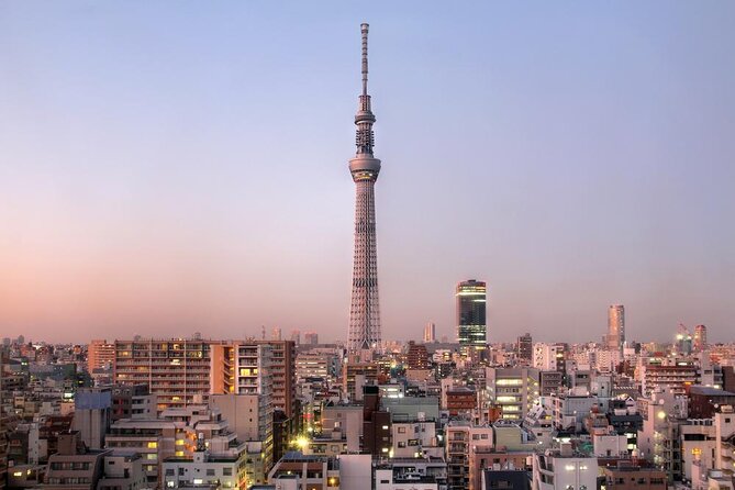 Full-Day Panoramic Bus Tour in Tokyo with Bay Cruise - Key points to know before booking