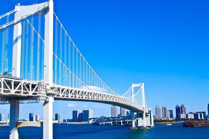 Full-Day Panoramic Bus Tour in Tokyo with Bay Cruise - What this Tokyo day tour is designed to do