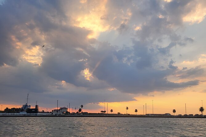 Galveston Historical Harbor Tour – Maritime & Heritage Cruise - The important dolphin cruise mix-up