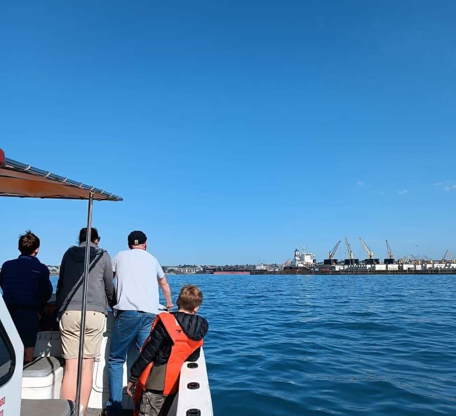 Gqeberha: 30 MINUTE HARBOUR CRUISE - Thirty minutes through the Port Elizabeth harbour