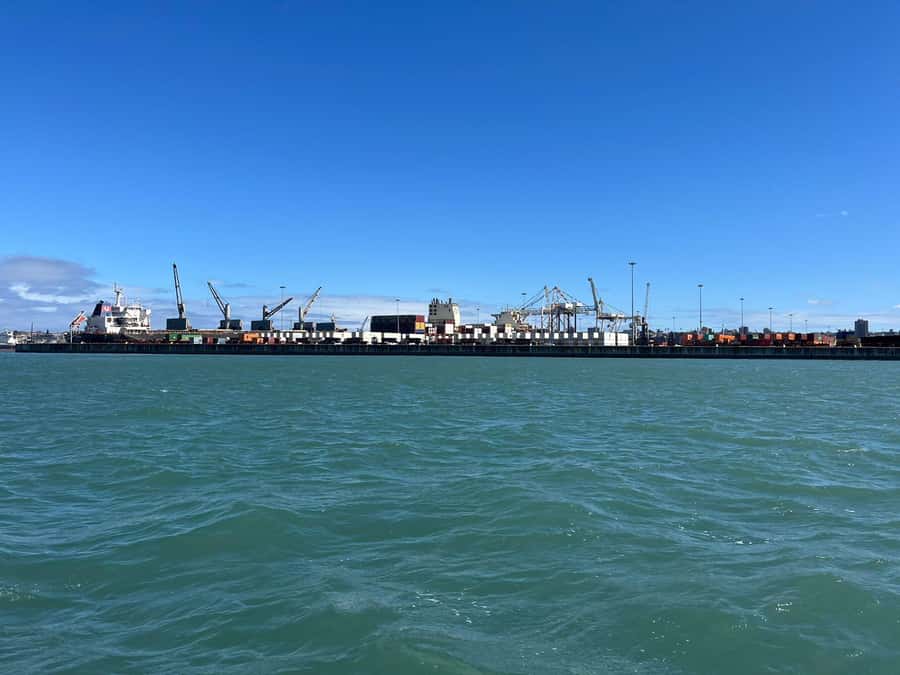 Gqeberha: 30 MINUTE HARBOUR CRUISE - Ships, fishing vessels, and cargo operations