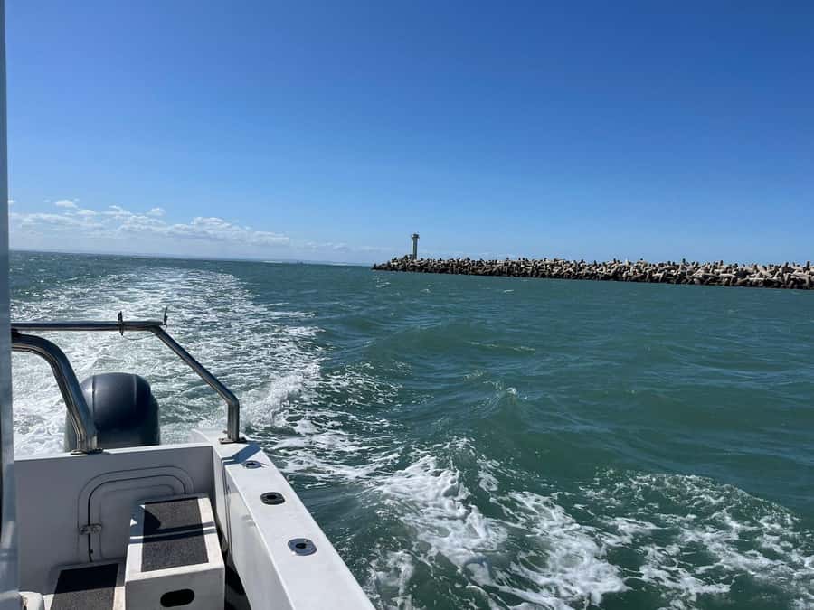 Gqeberha: 30 MINUTE HARBOUR CRUISE - A family-friendly outing with an educational point
