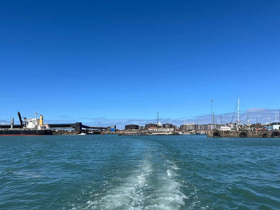 Gqeberha: 30 MINUTE HARBOUR CRUISE - How to make the most of the short cruise