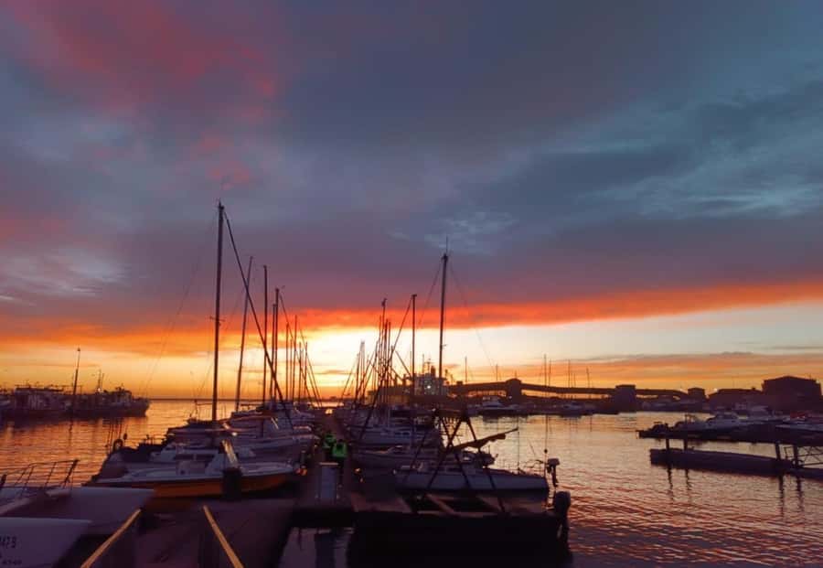 Gqeberha: 30 MINUTE HARBOUR CRUISE - Who should book this harbour cruise?