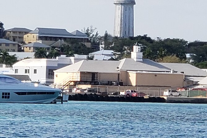 Half-Day Guided Boat Tour of Nassau Harbour and Rose Island - Green turtles and swimming pigs