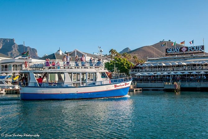Half Hour Seal and Harbour Cruise from Cape Town - Quick points before you book