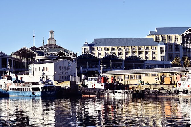 Half Hour Seal and Harbour Cruise from Cape Town - Why families may like this outing