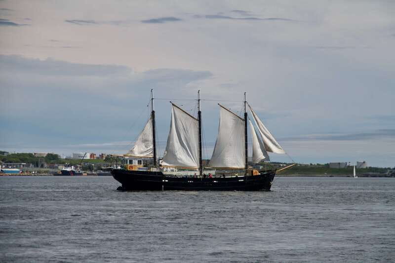 Halifax: Tall Ship Harbor Sailing Cruise with Live Music - Why this Halifax sailing cruise works so well