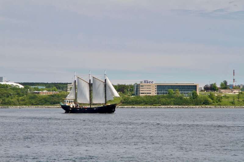 Halifax: Tall Ship Harbor Sailing Cruise with Live Music - Drinks, comfort, and onboard facilities