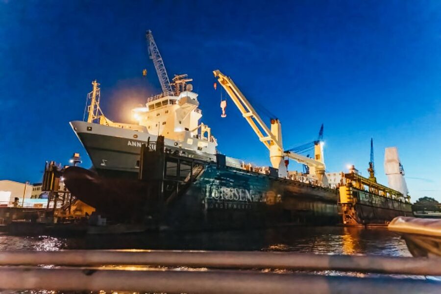 Hamburg: 1.5h Grand Harbor Evening Lights Cruise - Elbe Beach and the fish market