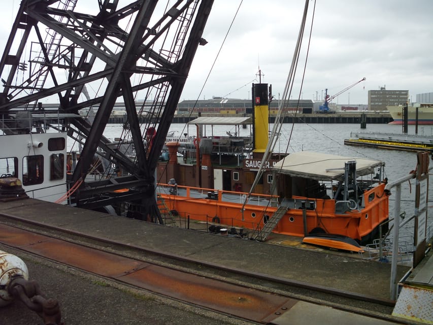 Hamburg: 1-Hour Harbor Cruise - Fish Market, Oevelgönne, and the cruise terminals