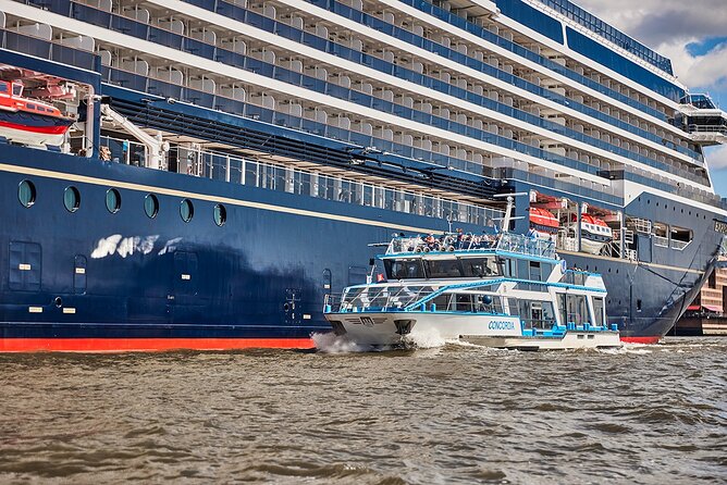 Hamburg: 1-hour harbor tour - Cruise ships, Blohm & Voss, and changing views