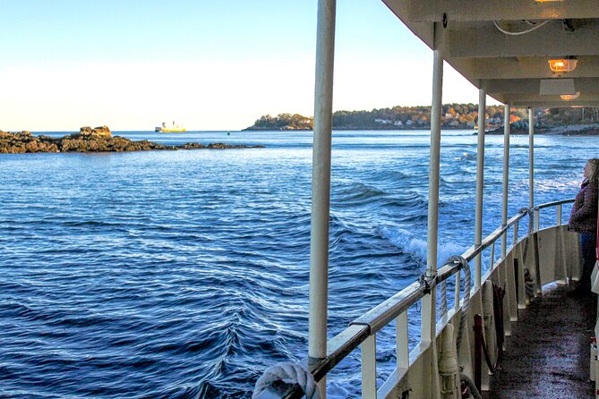 Harbor Lights and Sights Cruise - Key details at a glance