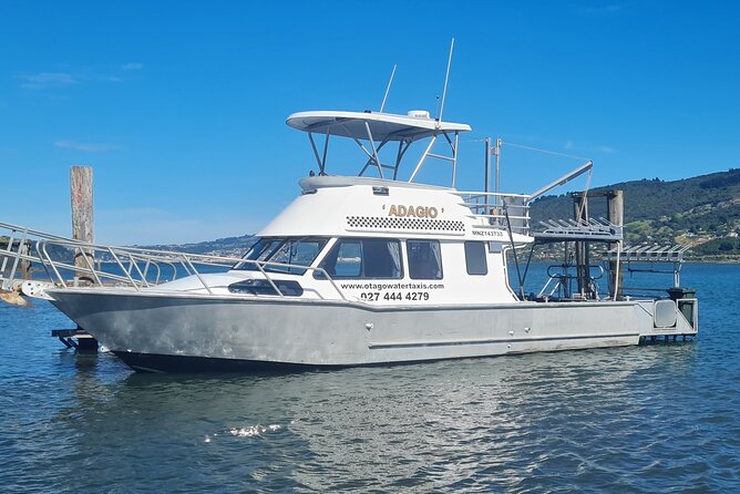 Harbour, Albatross and Wildlife Cruise on Otago Harbour - Quick reasons to consider this boat ride