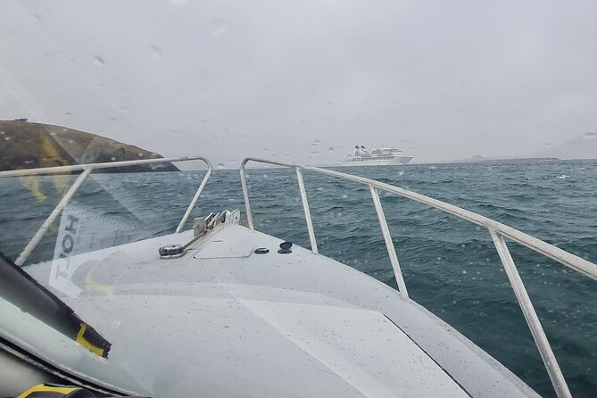 Harbour, Albatross and Wildlife Cruise on Otago Harbour - Careys Bay and the working harbour