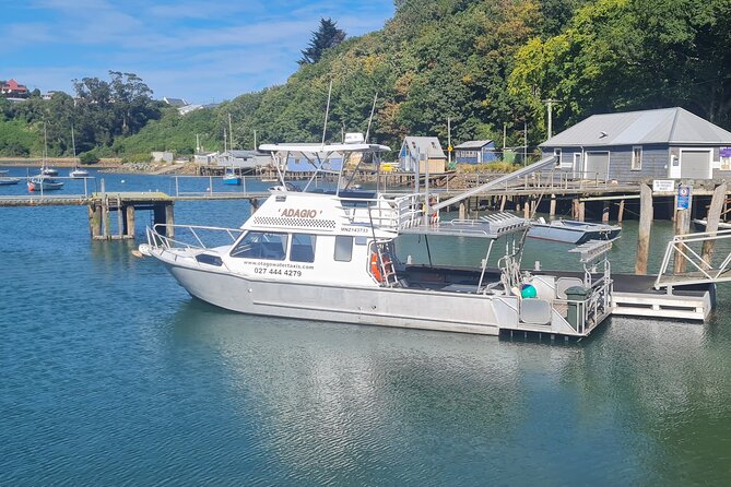 Harbour, Albatross and Wildlife Cruise on Otago Harbour - Taiaroa Head and the Northern Royal Albatross