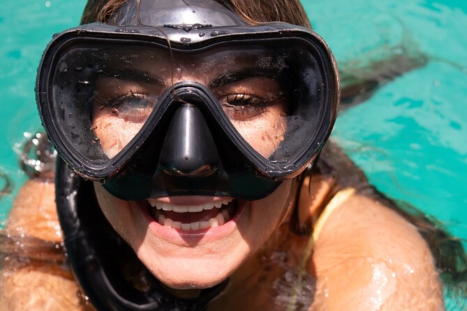 Harbour Lights-Chair &Turtle Shipwreck Snorkel Tour(10:30-1:30pm) - What the $39.50 price really covers