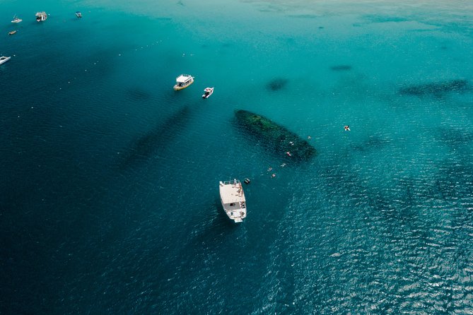 Harbour Lights-Chair &Turtle Shipwreck Snorkel Tour(10:30-1:30pm) - Shipwrecks, tropical fish, and shallow water sights
