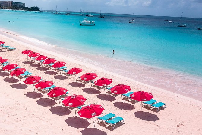 Harbour Lights-Chair &Turtle Shipwreck Snorkel Tour(10:30-1:30pm) - Looking for turtles at Carlisle Bay