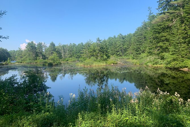 Hidden Harbor E Bike Tour of Boothbay Harbor - Why the stories matter as much as the ride