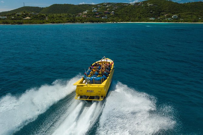 High Speed Harbor Tour from Charlotte Amalie Cruise Port - Is $60 a fair price?