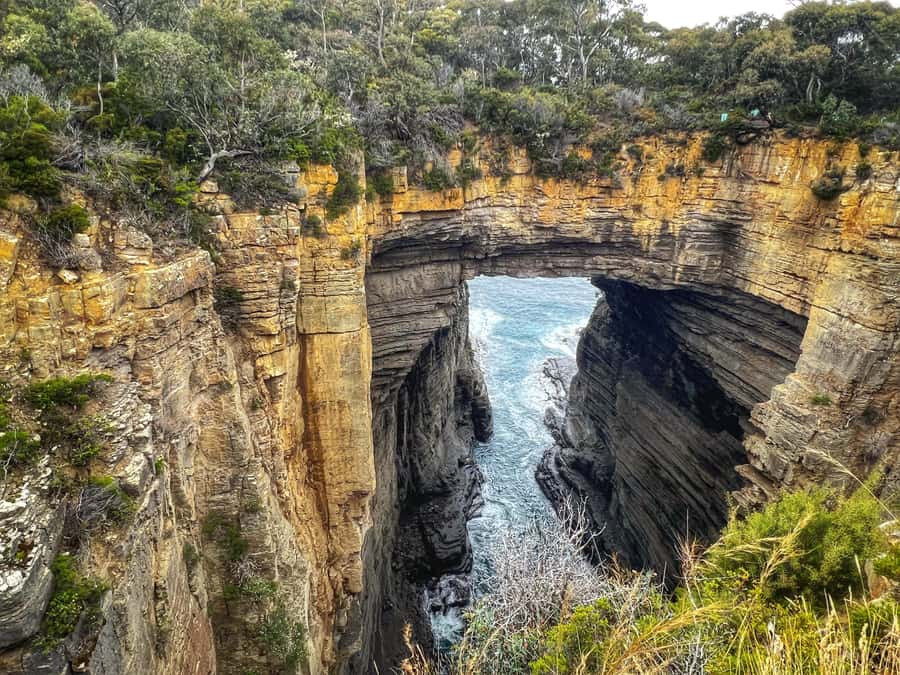 Hobart: Port Arthur, Harbor Cruise and Isle of the Dead Tour - Who should book this Hobart day trip?