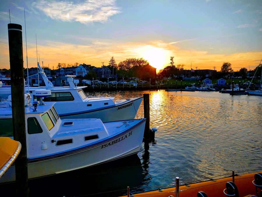 Hyannis: Hyannis Harbor Sunset Cruise - Key Points To Know Before You Go