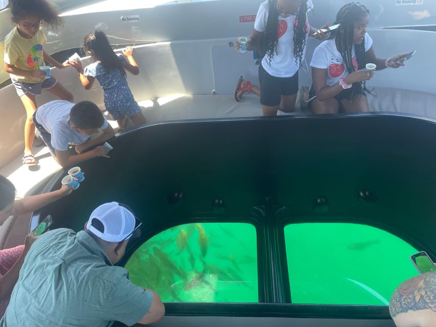 Long Beach: Glass Bottom Boat Harbor Ecotour - What the one-hour harbor ecotour is really like