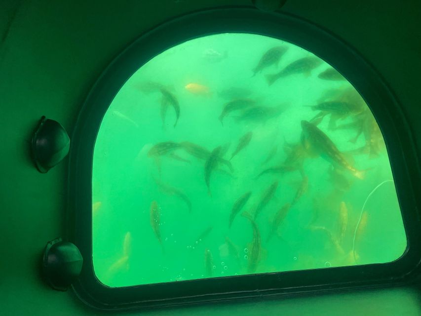 Long Beach: Glass Bottom Boat Harbor Ecotour - Why families may find the short format useful