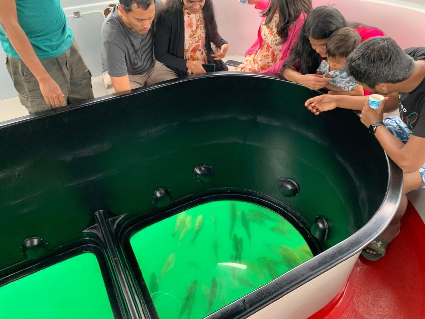 Long Beach: Glass Bottom Boat Harbor Ecotour - What marine life might you see?
