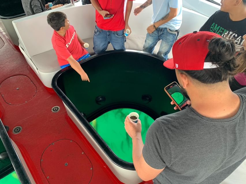 Long Beach: Glass Bottom Boat Harbor Ecotour - Who should book this boat ride?