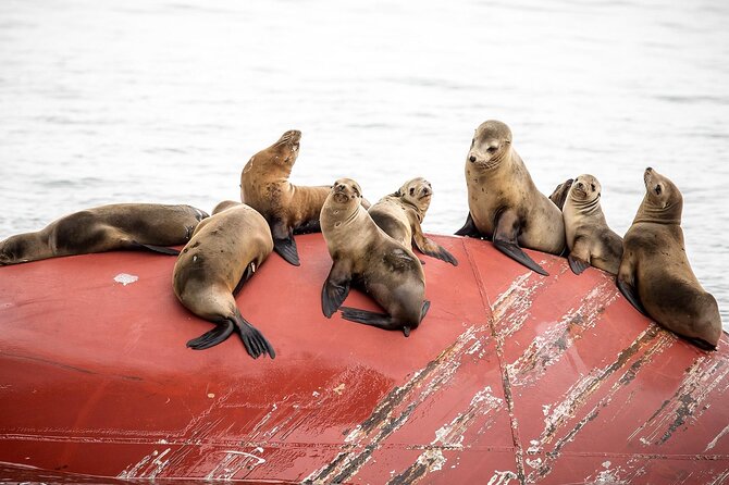 Long Beach Harbor 45-Minute Boat Tour - Quick Takeaways From the Long Beach Harbor Cruise