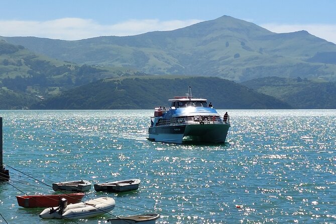Lyttelton Shore Excursion: Twin Harbour Tour (Lyttelton & Akaroa) - What the vehicle and group size mean