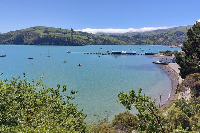 Lyttelton Shore Excursion: Twin Harbour Tour (Lyttelton & Akaroa) - The timing risks on a cruise shore day