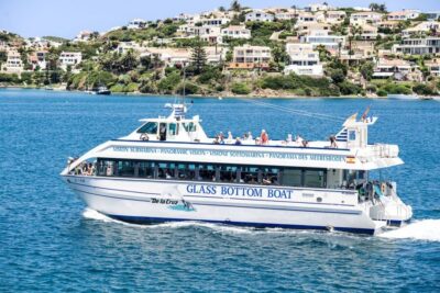 Harbor Boat Tour with Underwater Viewing & Commentary