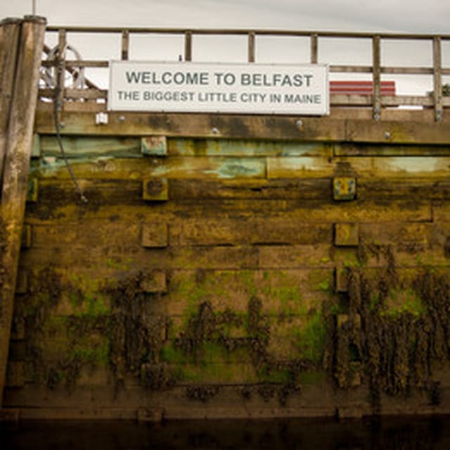 Maine: Belfast VIP Private Harbor Cruise - Key points to know before you go