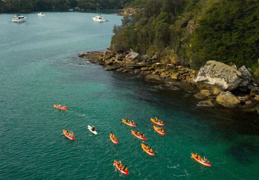 Manly: Mini Kayak Tour on Sydney's North Harbour - Returning to Manly by kayak