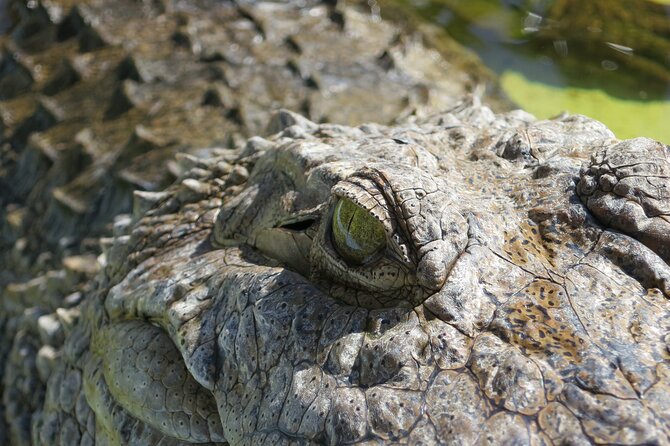 Miami and Everglades Adventure: Airboat & Bay Cruise Combo - Biscayne Bay views from the outer deck