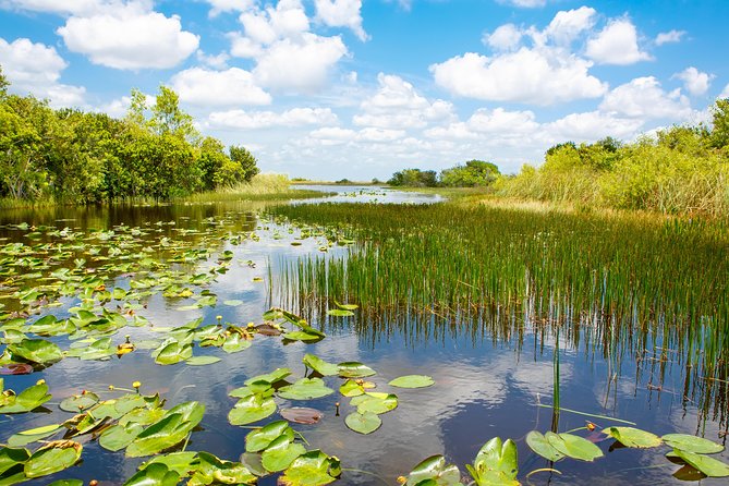 Miami and Everglades Adventure: Airboat & Bay Cruise Combo - Who will enjoy this day most