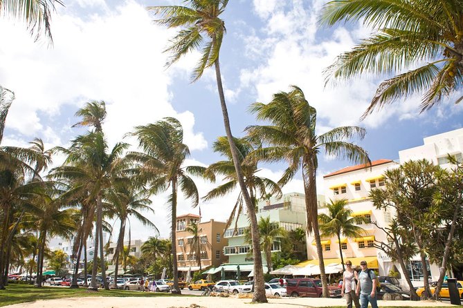 Miami City Tour and Biscayne Bay Cruise with Hotel Transportation - What this seven-hour Miami tour actually gives you